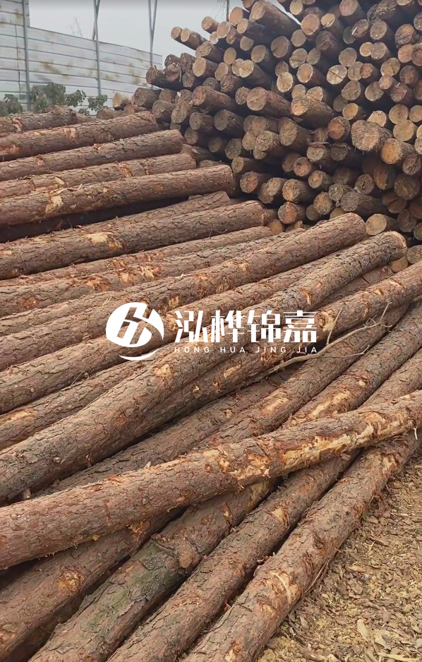 山西河道木樁護(hù)岸價格多少錢一米-每米河道打樁要花多少錢？