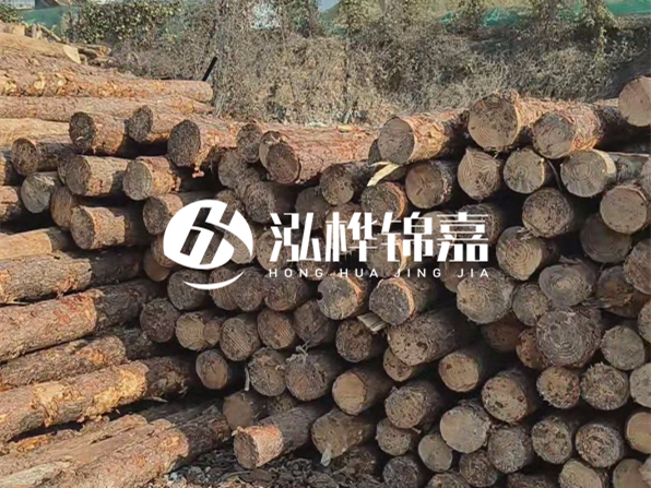 落葉松木材的主要產(chǎn)地在哪里？為什么比其他松木更耐腐蝕？