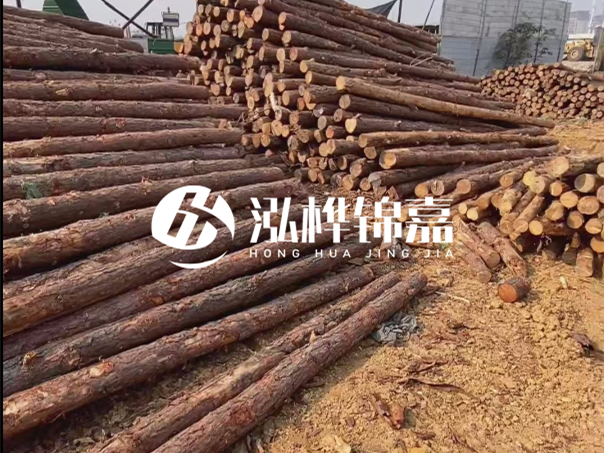 河道木樁施工遇到淤泥怎么辦？打多深才能防沖刷？
