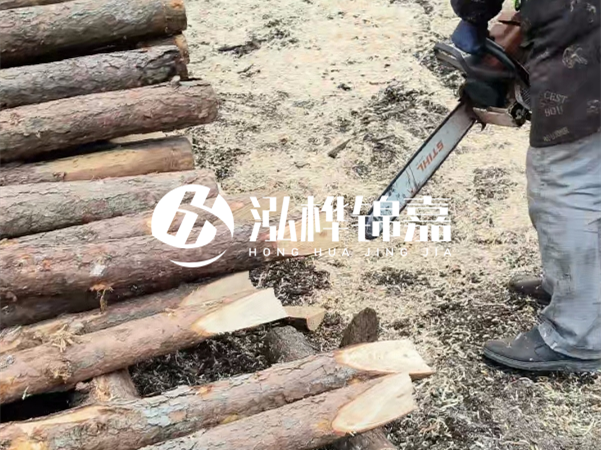杉木樁批發(fā)廠家哪家好？產(chǎn)地直供渠道推薦！