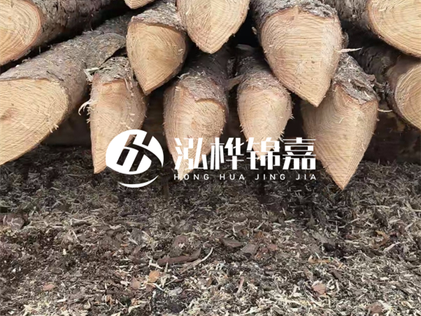 打樁木樁與鋼樁相比有哪些優(yōu)缺點？如何進行后期維護？