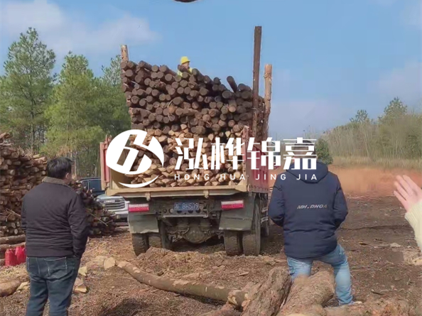 松木樁價(jià)格是按米算還是按根算？6米松木樁批發(fā)價(jià)每根多少錢？