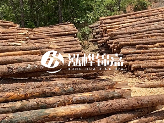 松木樁的運(yùn)輸費(fèi)用是否包含卸車費(fèi)？卸貨時需要注意哪些安全問題？