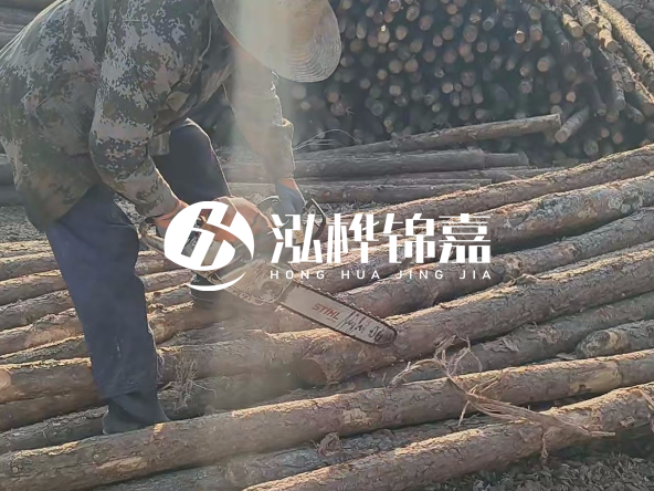 廣東打樁木源頭廠家泓樺錦嘉 - 如何選擇適合特定邊坡的松木樁？